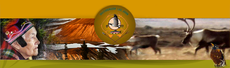 Infirmier(e) en pratique rôle élargie - Dispensaire Matimekush - Lac John Infirmier(e) en pratique rôle élargie - Dispensaire Matimekush - Lac John